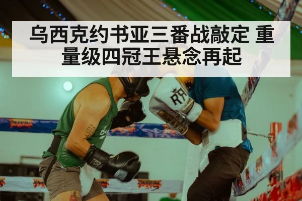 Oleksandr Usyk boxing(9game app)